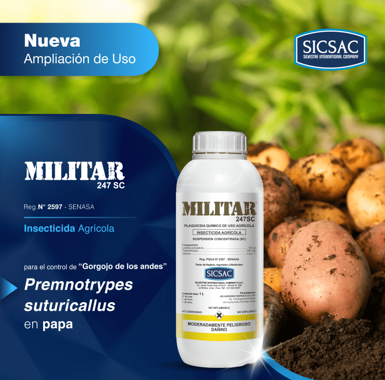 AMPL. DE USO MILITAR PAPA