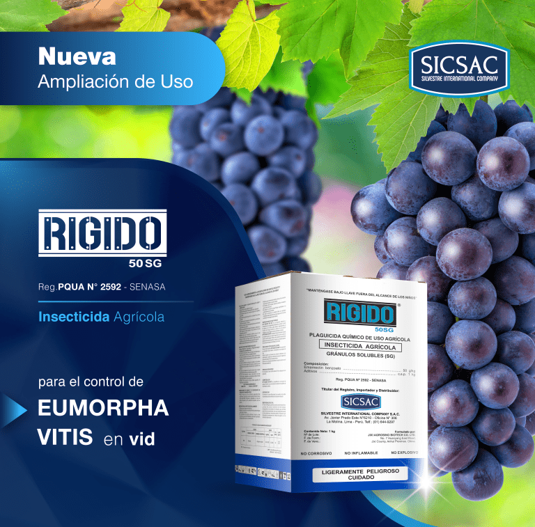 AMPL. DE USO RIGIDO VID