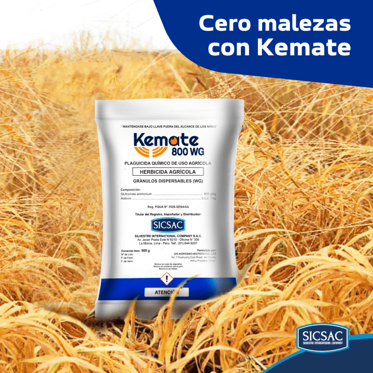 KV KEMATE