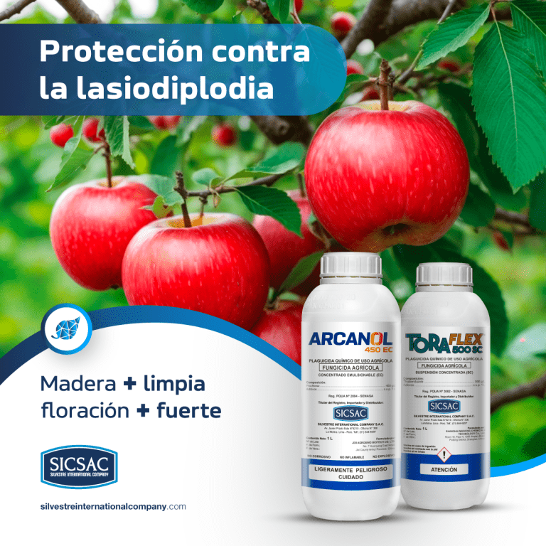 PACK ARCANOL+TORAFLEX